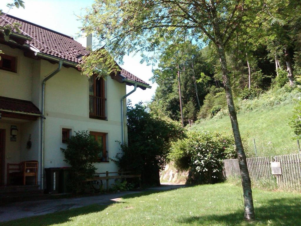 Ferienhaus Waldsicht Flachau Camera foto