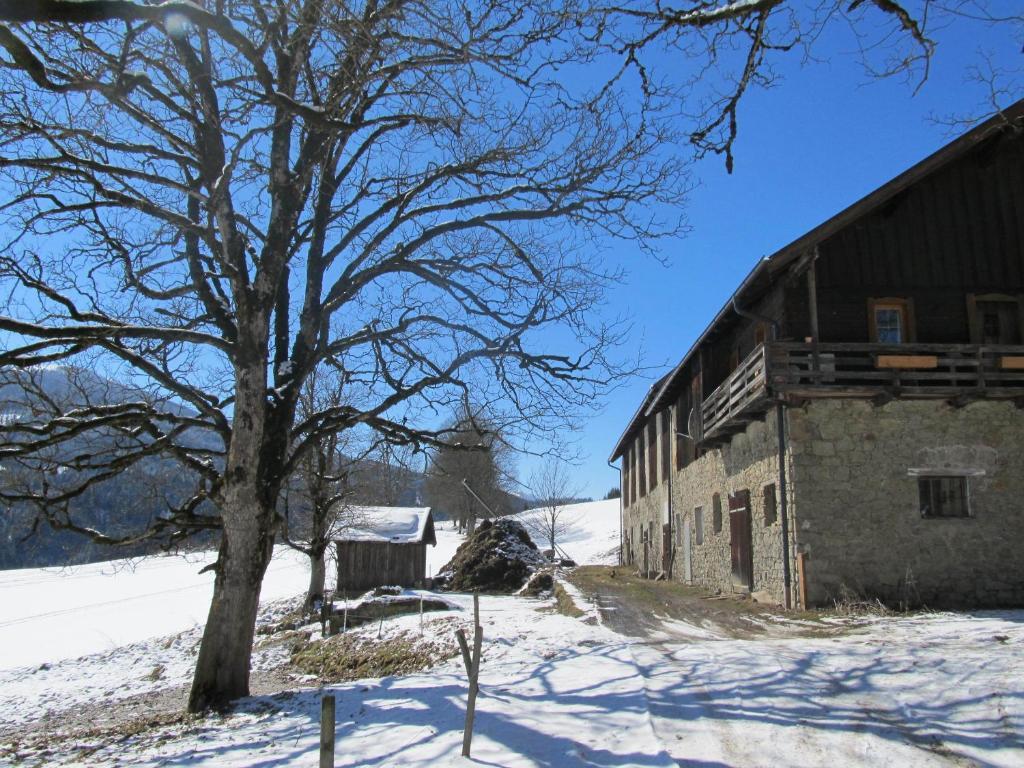 Ferienhaus Waldsicht Flachau Esterno foto