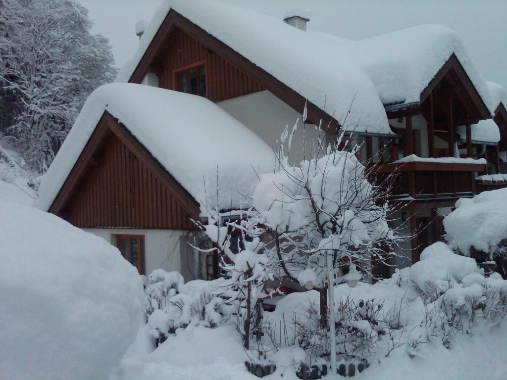 Ferienhaus Waldsicht Flachau Esterno foto